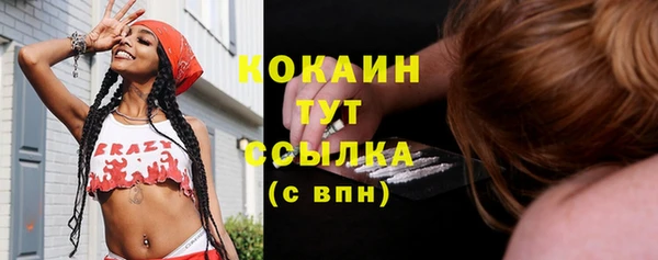 мяу мяу мука Арсеньев