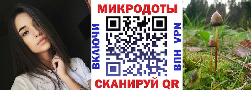 Псилоцибиновые грибы Cubensis  купить   Дудинка 