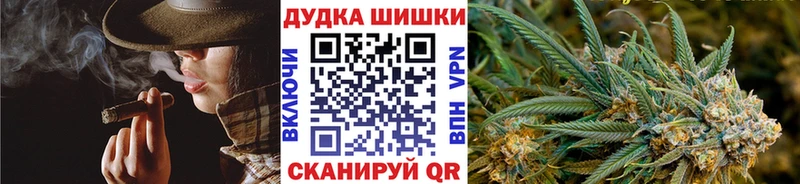 Шишки марихуана планчик  Дудинка 
